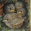 Schilderij